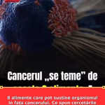 8 alimente care pot susține organismul în fața cancerului. Ce spun cercetările despre puterea farfuriei