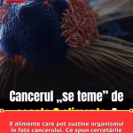8 alimente care pot susține organismul în fața cancerului. Ce spun cercetările despre puterea farfuriei