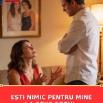 EȘTI NIMIC PENTRU MINE I-A SPUS SOȚUL.