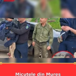 Micuțele din Mureș