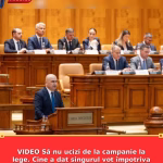 VIDEO Să nu ucizi de la campanie la lege. Cine a dat singurul vot împotriva actului normativ contra femicidului