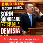 Grindeanu cere majoritate nouă după căderea Guvernului Bolojan