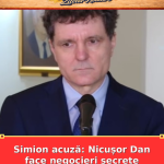 Simion acuză: Nicușor Dan face negocieri secrete pentru Guvern