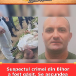 Suspectul crimei din Bihor a fost găsit. Se ascundea într-un lan de rapiță