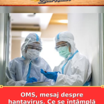 OMS, mesaj despre hantavirus. Ce se întâmplă în România