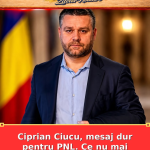 Ciprian Ciucu, mesaj dur pentru PNL. Ce nu mai acceptă la guvernare