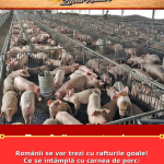 Românii se vor trezi cu rafturile goale! Ce se întâmplă cu carnea de porc: Fermele se închid, prețul a luat-o la vale