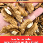 Nucile, avantaj surprinzător pentru inimă. Ce fac în plus zilnic