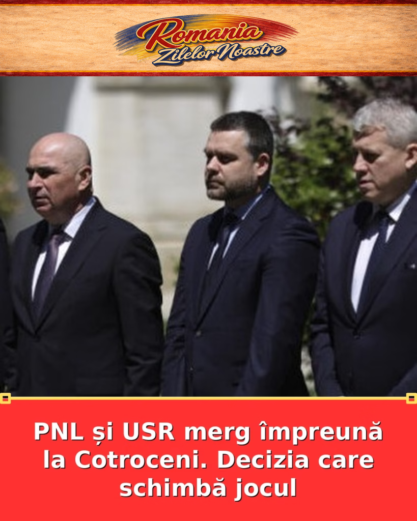 PNL și USR merg împreună la Cotroceni. Decizia care schimbă jocul