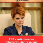 PSD caută premier tehnocrat, dar respinge varianta Delia Velculescu