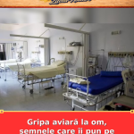 Gripa aviară la om, semnele care îi pun pe medici în alertă