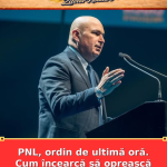 PNL, ordin de ultimă oră. Cum încearcă să oprească prăbușirea Guvernului