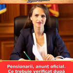 Pensionarii, anunț oficial. Ce trebuie verificat după mesajul Oanei Țoiu