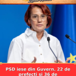 PSD iese din Guvern. 22 de prefecți și 36 de subprefecți au demisionat