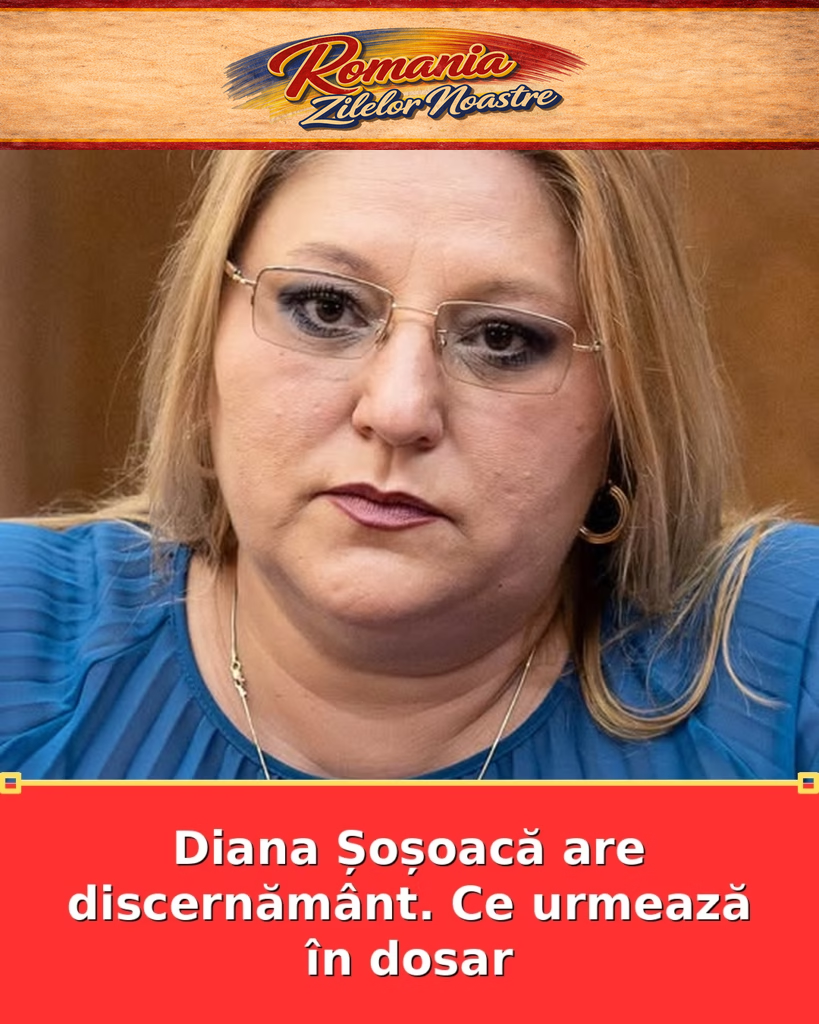 Diana Șoșoacă are discernământ. Ce urmează în dosar