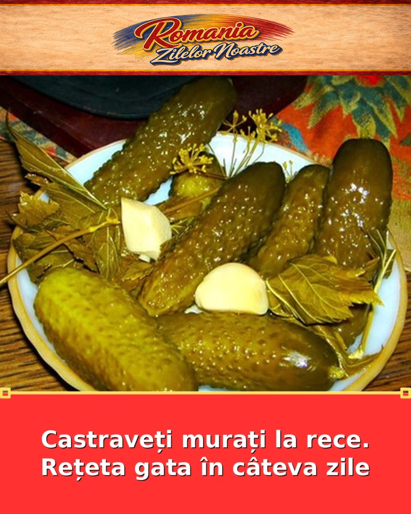 Castraveți murați la rece. Rețeta gata în câteva zile