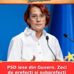 PSD iese din Guvern. Zeci de prefecți și subprefecți demisionează
