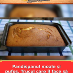 Pandișpanul moale și pufos. Trucul care îl face să crească bine