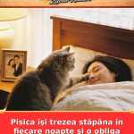 Pisica își trezea stăpâna în fiecare noapte și o obliga să se mute pe canapea
