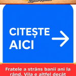 Fratele a strâns banii ani la rând. Vila e altfel decât credea Andrei