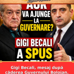 Gigi Becali, mesaj după căderea Guvernului Bolojan. AUR nu ajunge la putere