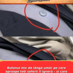 Butonul mic de lângă umăr pe care aproape toți șoferii îl ignoră – și care face centura mult mai confortabilă