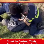 Crimă la Curtea, Timiș. Suspectul a fugit după conflict