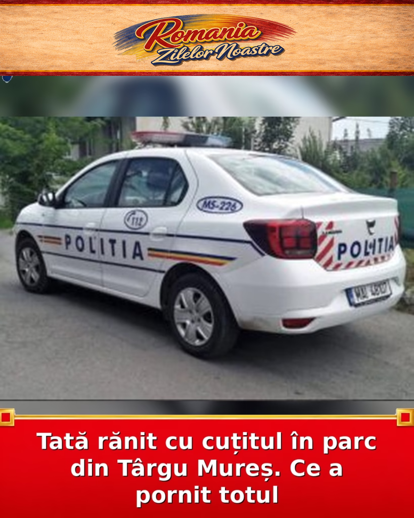 Tată rănit cu cuțitul în parc din Târgu Mureș. Ce a pornit totul