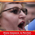 Diana Șoșoacă, la Parchet. Procurorii cer o expertiză psihiatrică