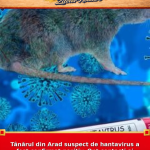 Tânărul din Arad suspect de hantavirus a fost confirmat pozitiv. Opt contacți ai pacientului, izolați pentru 21 de zile