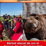 Bărbat atacat de urs în Brașov. Ce au făcut imediat salvatorii