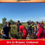 Urs în Brașov. Ciobanul atacat a ajuns cu elicopterul SMURD
