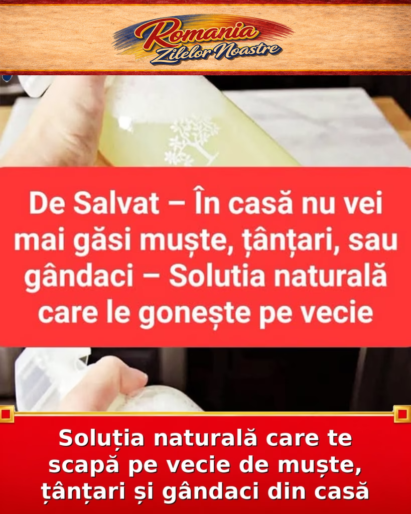 Soluția naturală care te scapă pe vecie de muște, țânțari și gândaci din casă