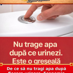 De ce să nu tragi apa după fiecare urinare. Economia care contează