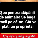 Ș0c pentru stăpânii de animale! Se bagă taxă pe câine. Cât va plăti un proprietar