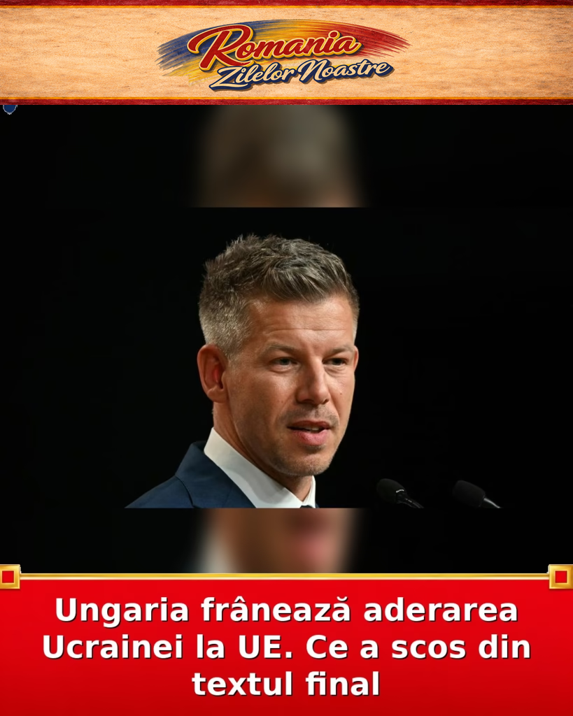 Ungaria frânează aderarea Ucrainei la UE. Ce a scos din textul final