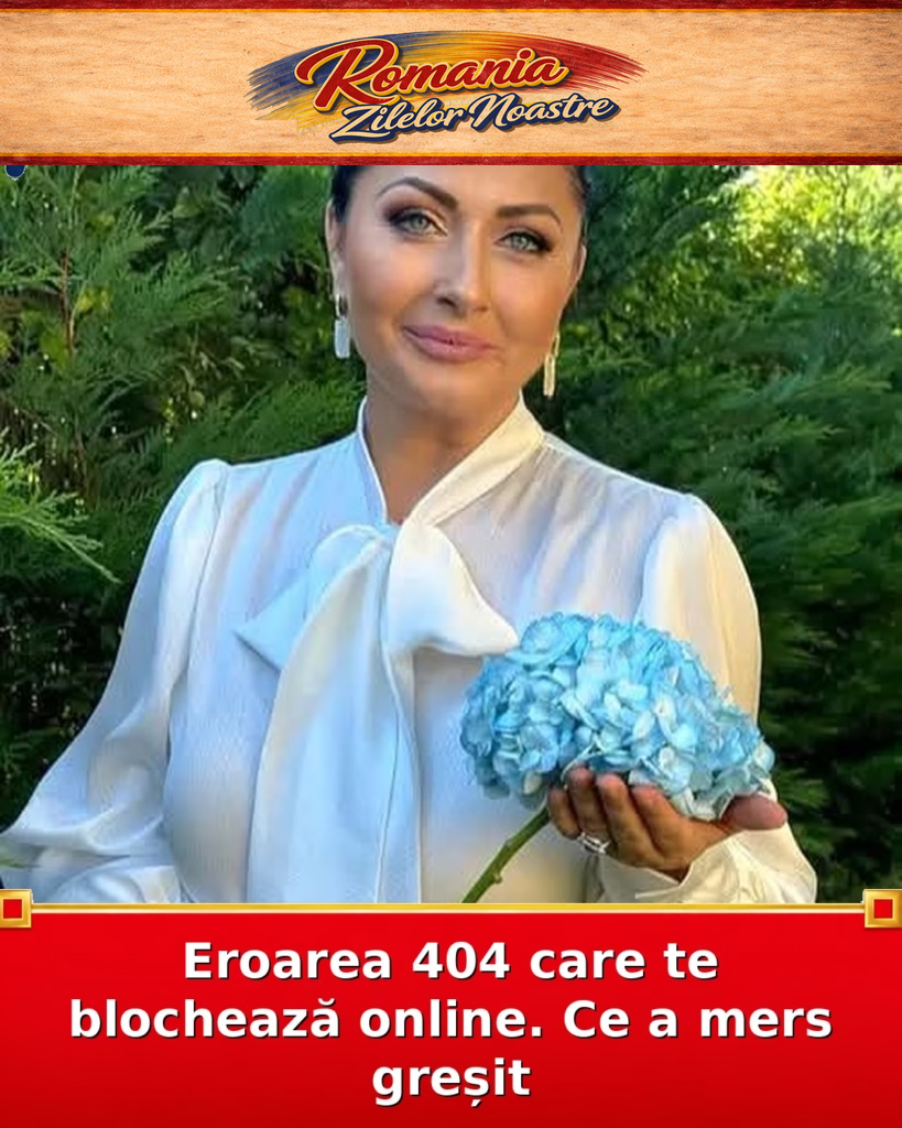 Eroarea 404 care te blochează online. Ce a mers greșit
