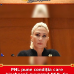PNL pune condiția care blochează guvernul PSD. Ce urmează acum