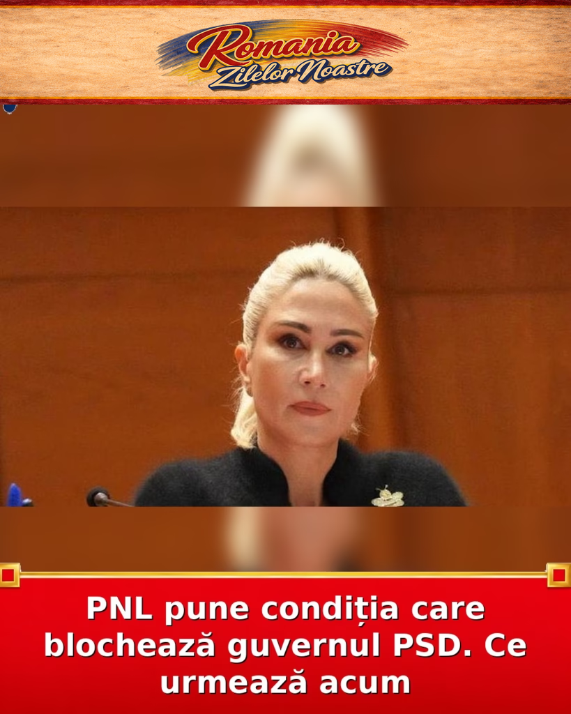 PNL pune condiția care blochează guvernul PSD. Ce urmează acum