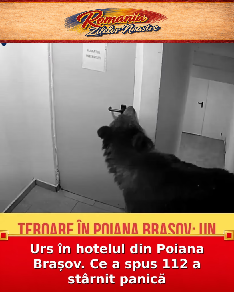 Urs în hotelul din Poiana Brașov. Ce a spus 112 a stârnit panică