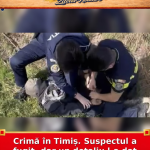 Crimă în Timiș. Suspectul a fugit, dar un detaliu l-a dat de gol