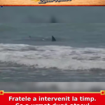 Fratele a intervenit la timp. Ce a urmat după atacul rechinului