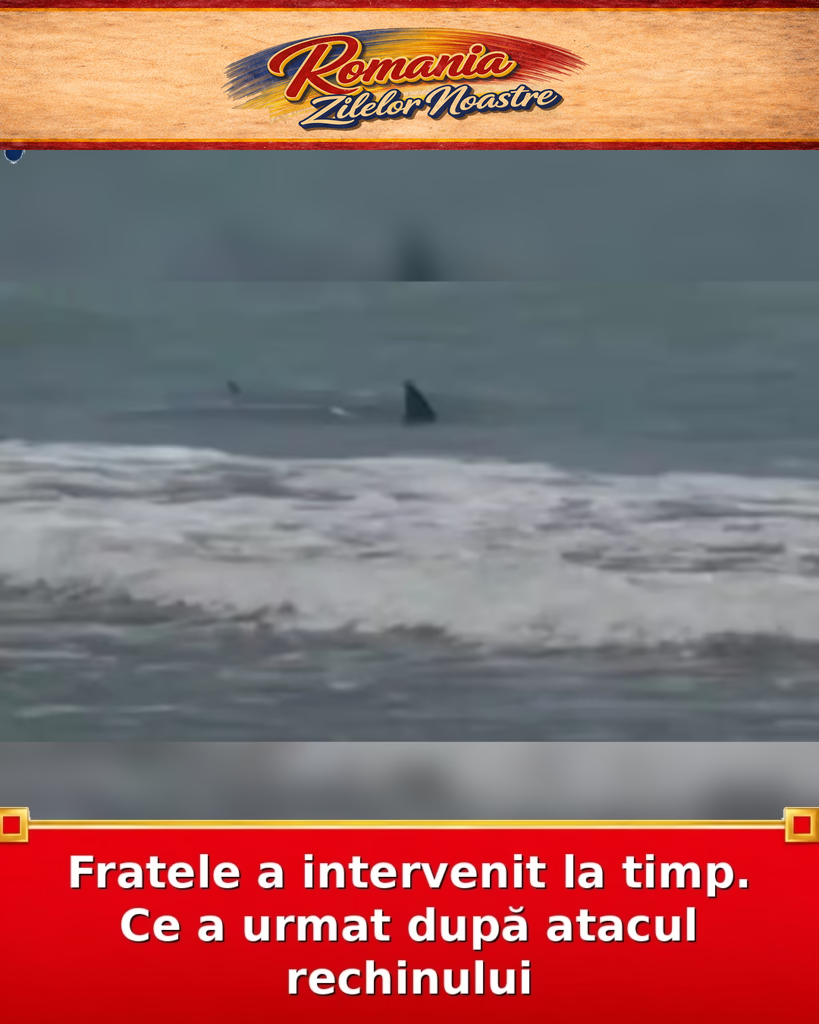 Fratele a intervenit la timp. Ce a urmat după atacul rechinului