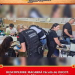 DESCOPERIRE MACABRĂ făcută de DIICOT. Cine erau cele 401 persoane decedate, găsite îngropate pe un câmp din Bihor