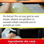 ingrediente din casă. Soluția care alungă insectele imediat