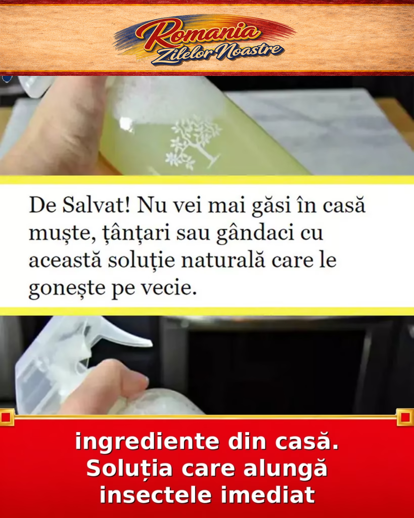 ingrediente din casă. Soluția care alungă insectele imediat