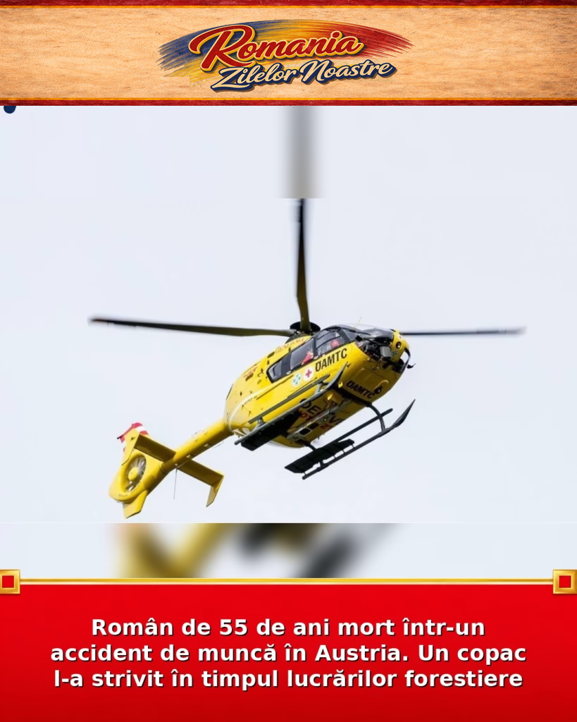 Român de 55 de ani mort într-un accident de muncă în Austria. Un copac l-a strivit în timpul lucrărilor forestiere