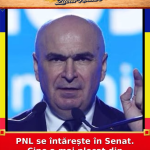 PNL se întărește în Senat. Cine a mai plecat din „Pace–Întâi România”