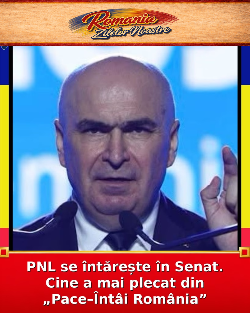 PNL se întărește în Senat. Cine a mai plecat din „Pace–Întâi România”