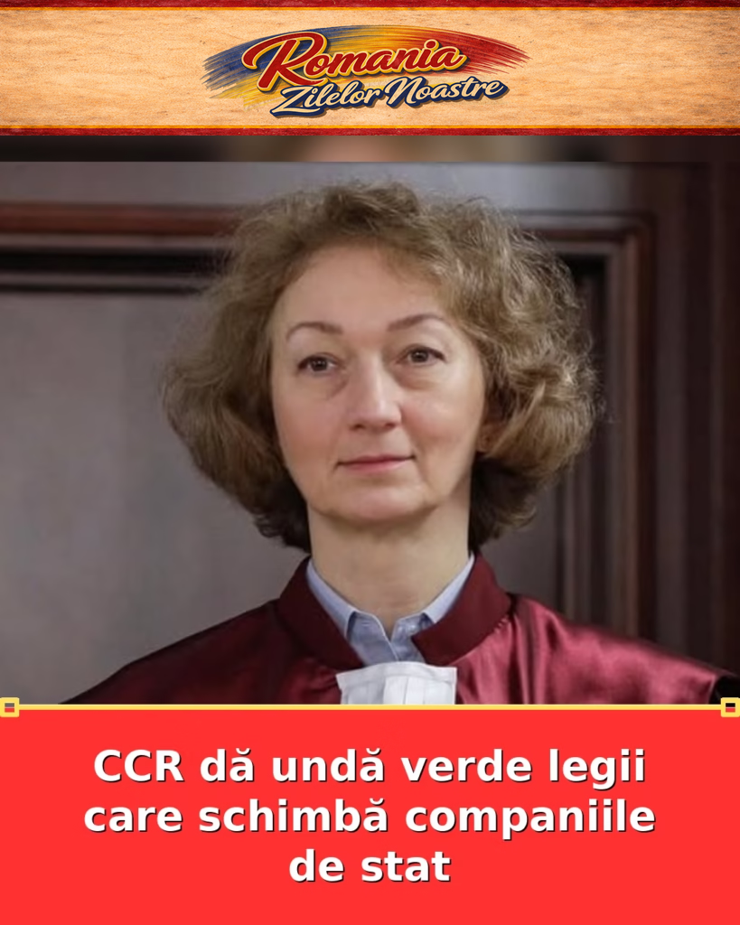 CCR dă undă verde legii care schimbă companiile de stat